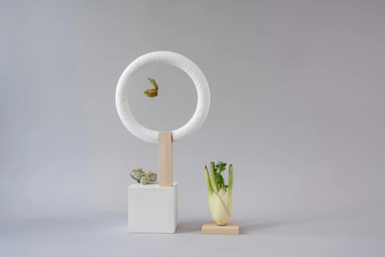 a close up of a plant in a vase on a table, a surrealist sculpture, inspired by Oskar Schlemmer, kinetic art, ring lighting, in flight, salad and white colors in scheme, white space in middle