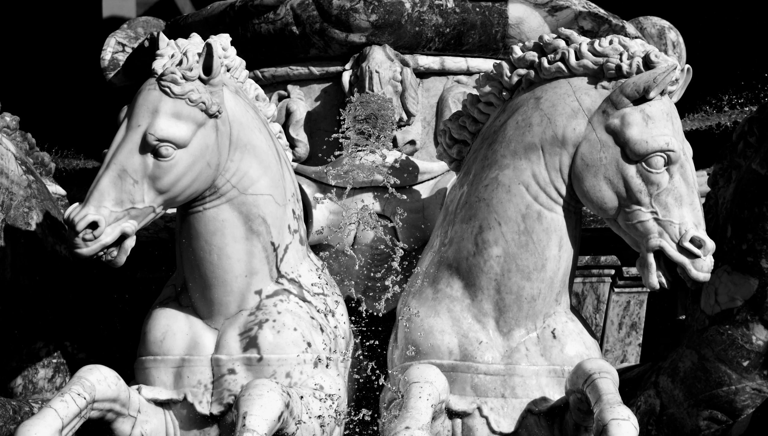 a black and white photo of two statues of horses, a marble sculpture, inspired by Coppo di Marcovaldo, pexels contest winner, closeup of magic water gate, fine art print, everyone having fun, high details