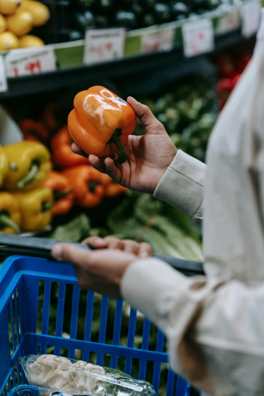 a person holding a bell pepper in their hand, getting groceries, 💣 💥, uncropped, marketplace