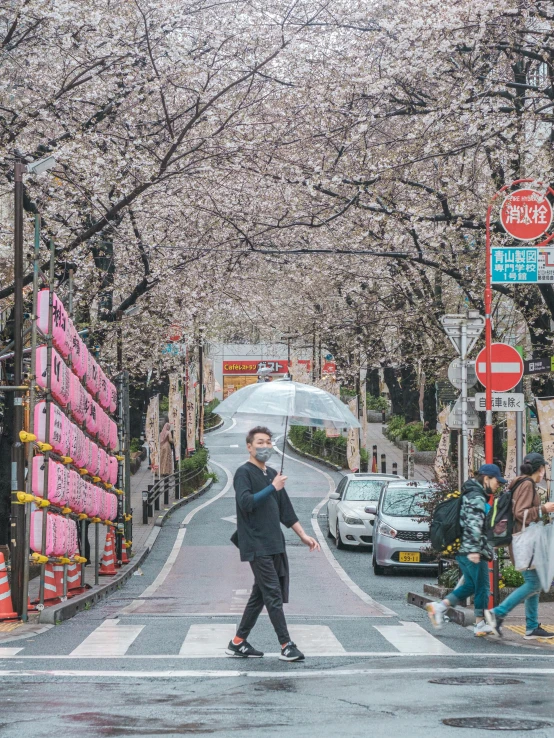 a man crossing a street while holding an umbrella, a picture, trending on unsplash, ukiyo-e, lush sakura trees, 🌸 🌼 💮, shot on iphone 1 3 pro max, there's flowers everywhere