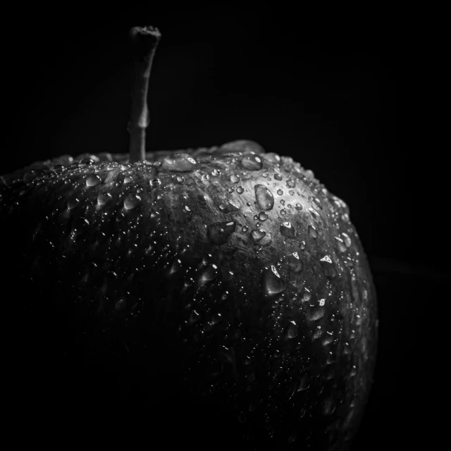a black and white photo of an apple, by Adam Marczyński, dew, black main color, 8k artistic photography, various posed