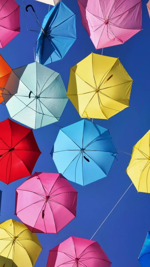 a bunch of colorful umbrellas hanging from a blue sky, inspired by Storm Thorgerson, pexels, square, color”