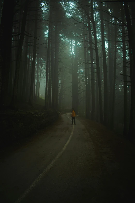 a person walking down a road in the middle of a forest, dark pine trees, multiple stories, 500px, sad man