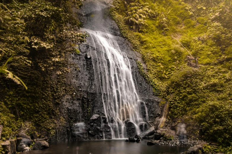 a waterfall in the middle of a lush green forest, an album cover, unsplash, hurufiyya, medium format. soft light, new zealand, golden hour photo, super detailed image
