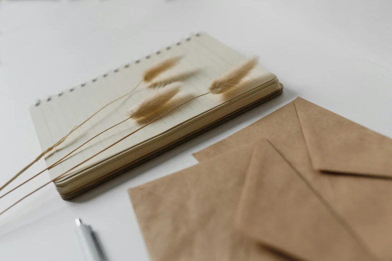 a bunch of brown envelopes sitting on top of a table, by Romain brook, pexels contest winner, botanicals, notebook, reeds, immaculate detail