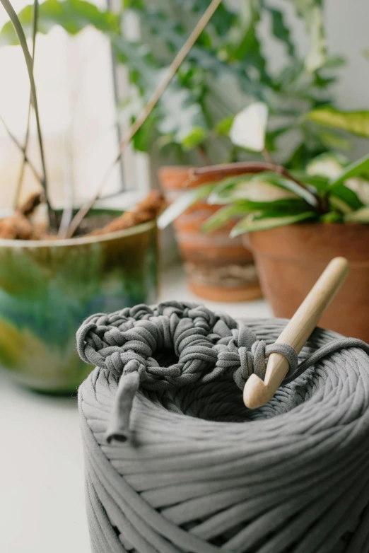 a ball of yarn sitting on top of a table next to a potted plant, a picture, slate, lasso tool, detailed product shot, grey