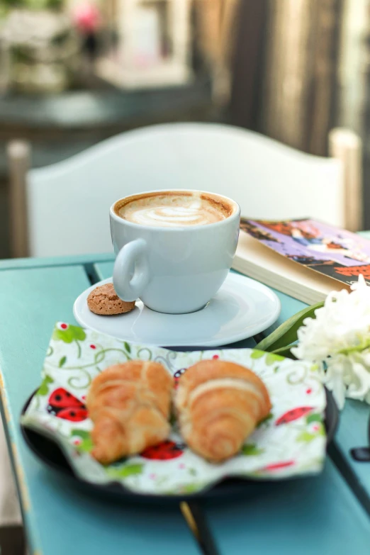 a plate of cookies and a cup of coffee on a table, a portrait, by Elaine Hamilton, shutterstock contest winner, romanticism, in a sidewalk cafe, books and flowers, latte art, white and pale blue toned