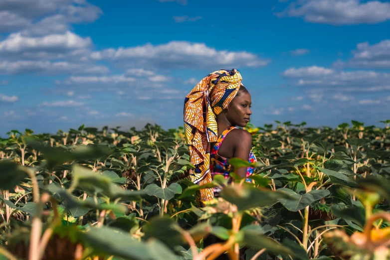 a woman standing in a field of sunflowers, afrofuturism, lots of cotton plants, sony world photography awards, avatar image, farming