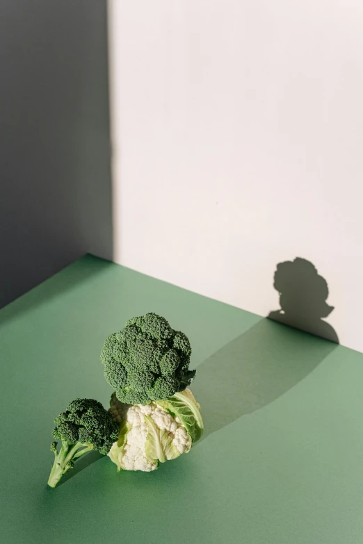a piece of broccoli sitting on top of a green table, a still life, by Xia Chang, unsplash, shadowy figures, salad and white colors in scheme, ignant, high shadow