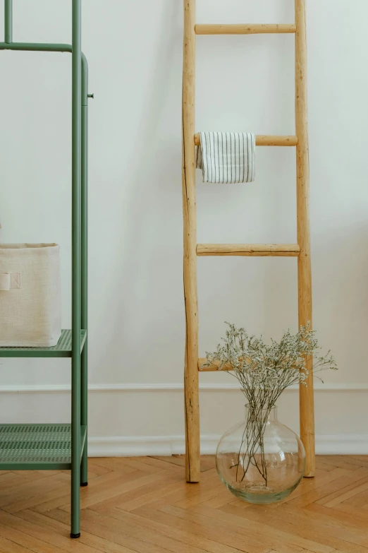 a ladder leaning against a wall next to a potted plant, trending on unsplash, light and space, towels, green and warm theme, product display photograph, full body image