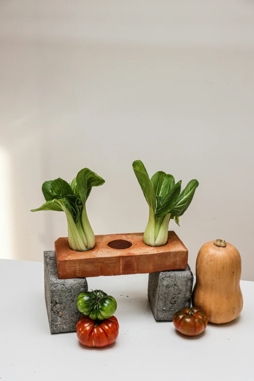 a couple of vegetables sitting on top of a table, inspired by Nam Gye-u, renaissance, concrete pillars, product view, indoor scene, uncrop