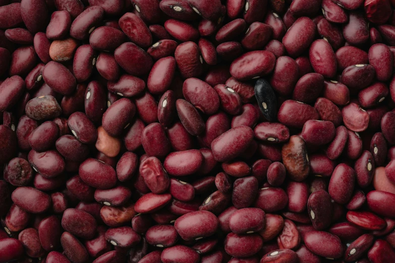 a pile of red beans sitting on top of each other, by Nina Hamnett, trending on pexels, renaissance, full body close-up shot, detailed product image, te pae, middle eastern