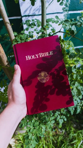 a person holding a bible in their hand, an album cover, by Julia Pishtar, pexels, unilalianism, red velvet, chief keef in the garden of eden, highly realistic photo realistic, holy glow