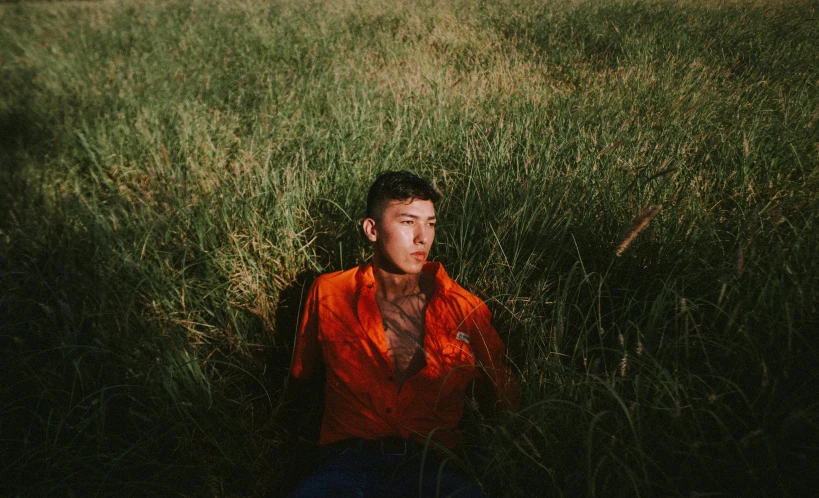 a man laying in a field of tall grass, an album cover, by Elsa Bleda, pexels contest winner, realism, orange hue, half man half asian black bull, looking straight, bella poarch