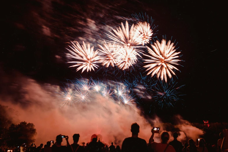 a group of people watching a firework display, pexels contest winner, figuration libre, avatar image, historical photo, super high resolution, flowers exploding and spraying