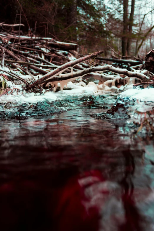 a stream running through a forest covered in snow, a picture, unsplash contest winner, process art, pools of blood, crystal clear neon water, low camera angle at water level, water ripples