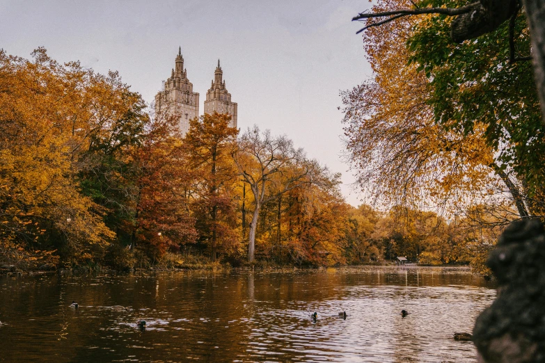 a large body of water surrounded by trees, by Emma Andijewska, unsplash contest winner, art nouveau, new york buildings, autumnal, ducks, tall spires