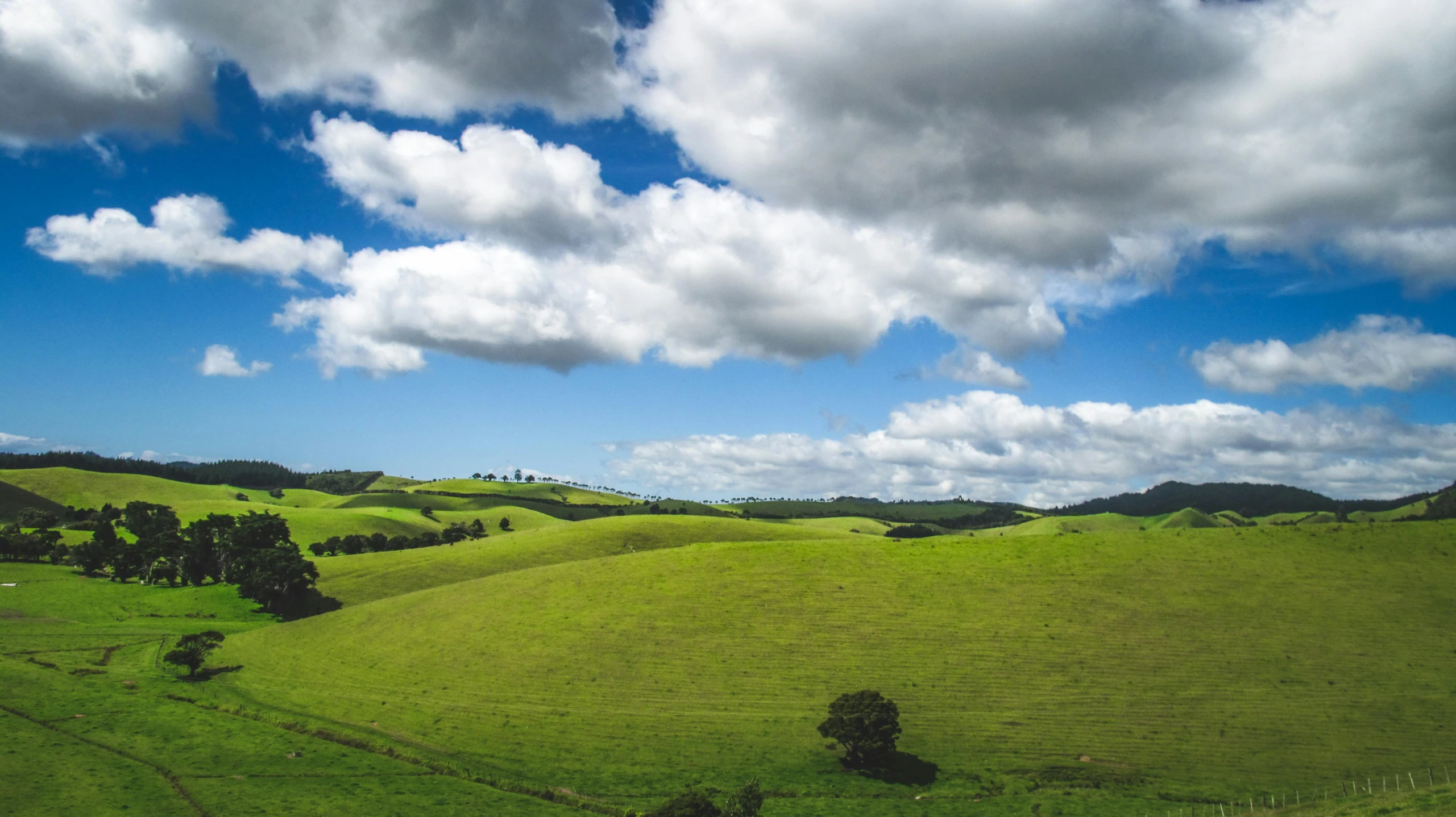 a herd of sheep grazing on top of a lush green field, by Peter Churcher, pexels contest winner, giant clouds, australia, blue and green, wide view of a farm