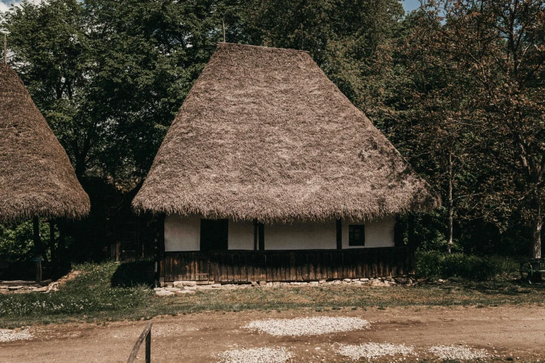 a couple of thatched huts sitting next to each other, an album cover, by Attila Meszlenyi, pexels contest winner, renaissance, exterior view, 🤠 using a 🖥, southern slav features, maya