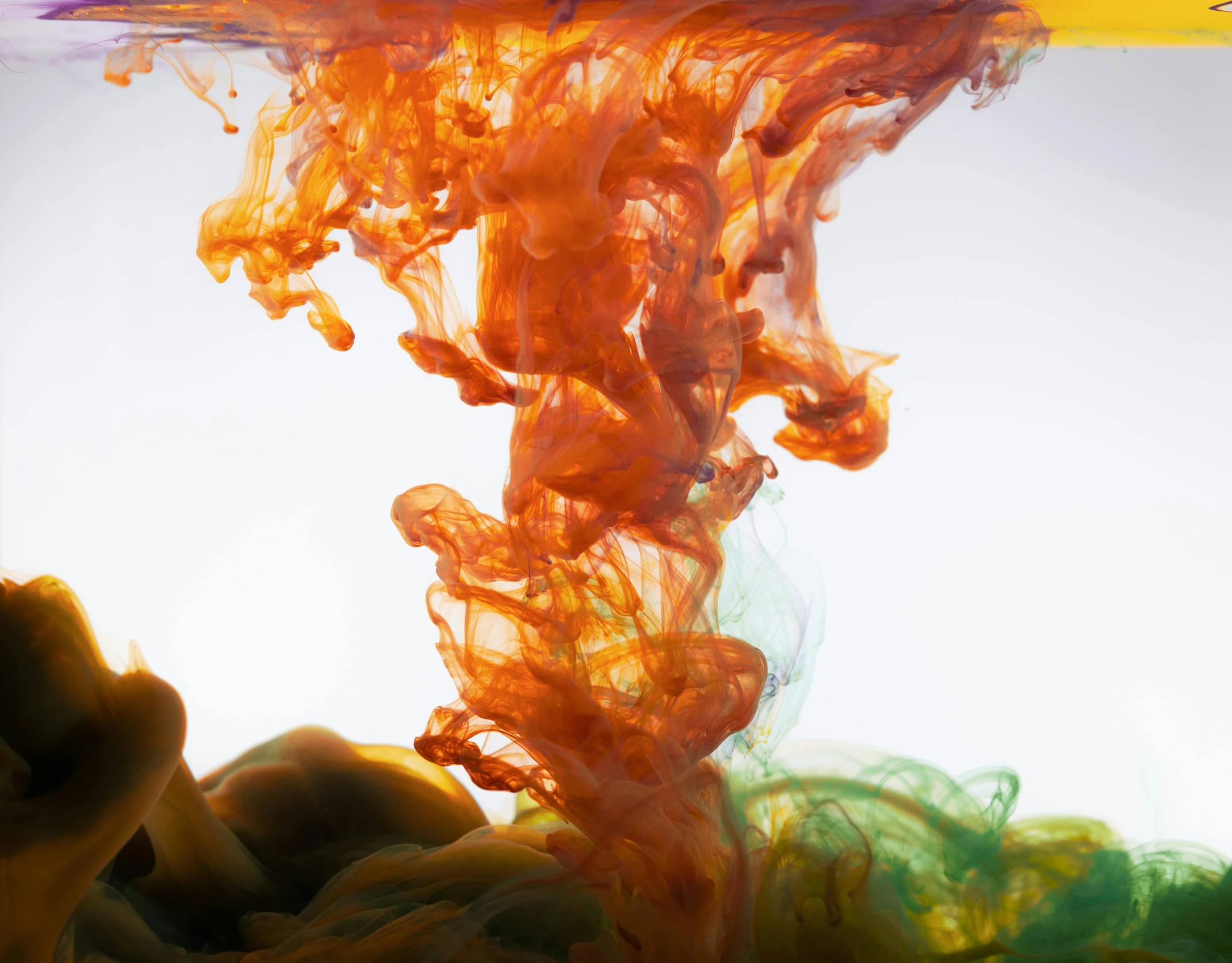 a close up of an orange substance in water, an abstract sculpture, inspired by Kim Keever, unsplash contest winner, full of greenish liquid, two tone dye, seen from below, rainbow splash of ink