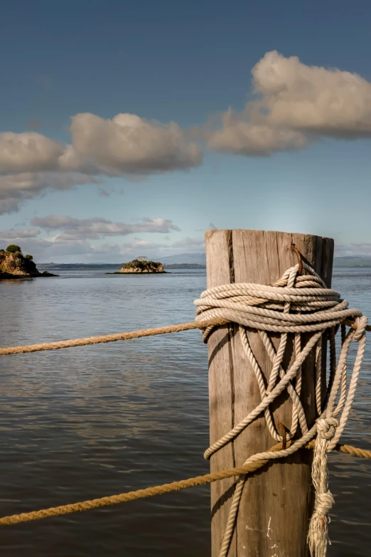 a wooden post sitting in the middle of a body of water, ropes, wellington, landscape photo, islands