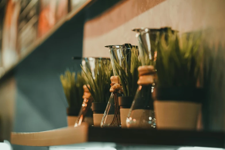 a row of vases sitting on top of a shelf, in a coffee shop, plants and grass, top selection on unsplash, beakers