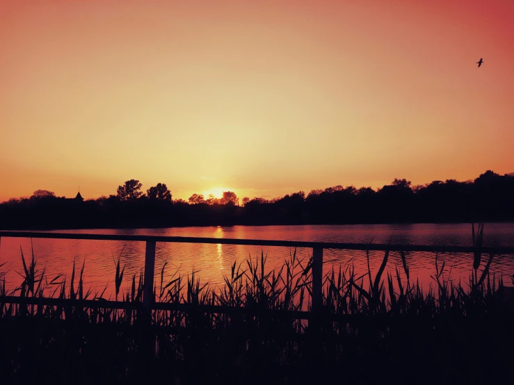 the sun is setting over a body of water, unsplash, hurufiyya, parks and lakes, red and orange glow, with instagram filters, instagram picture