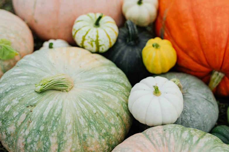 a pile of pumpkins sitting on top of each other, unsplash, varied colors, background image, instagram post, recipe