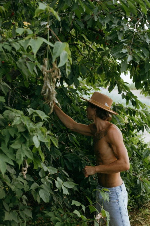 a man that is standing next to a tree, by Adam Dario Keel, big leaf bra, farming, caracter with brown hat, disrobed