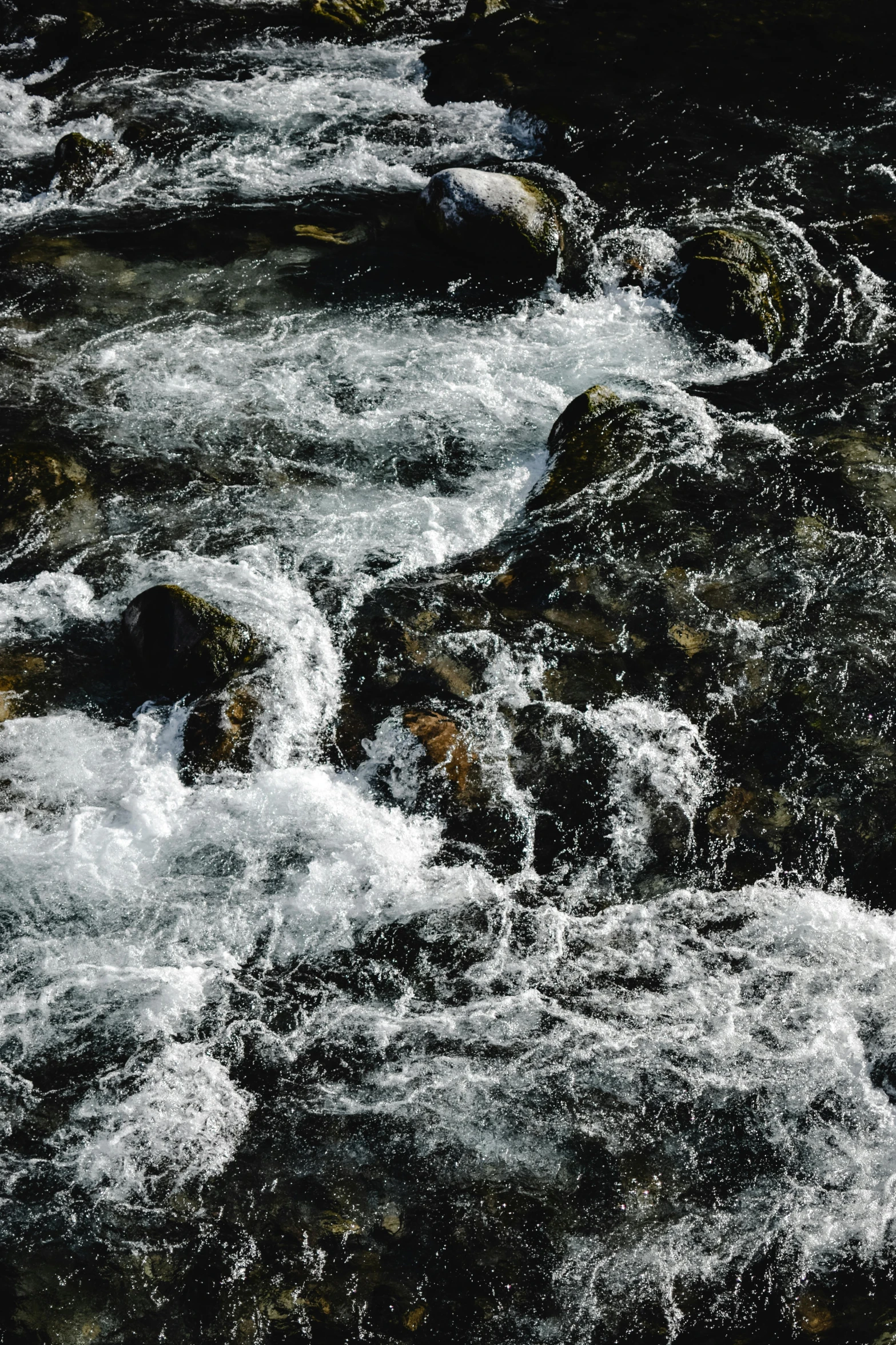 a river running through a lush green forest, an album cover, unsplash, process art, waves crashing at rocks, high contrast hyperrealism 8k, detail shot, thirst