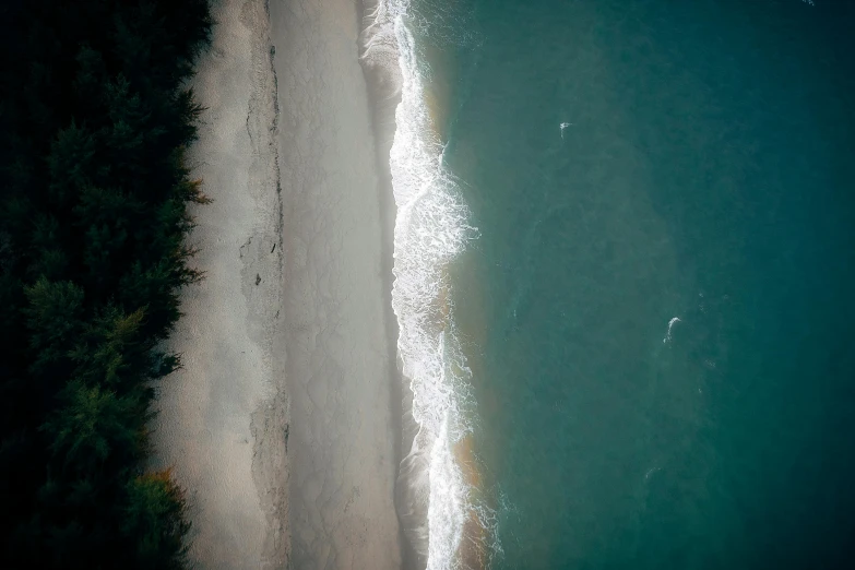an aerial view of a beach and the ocean, by Peter Churcher, unsplash contest winner, paul barson, soaring, shoreline, ignant