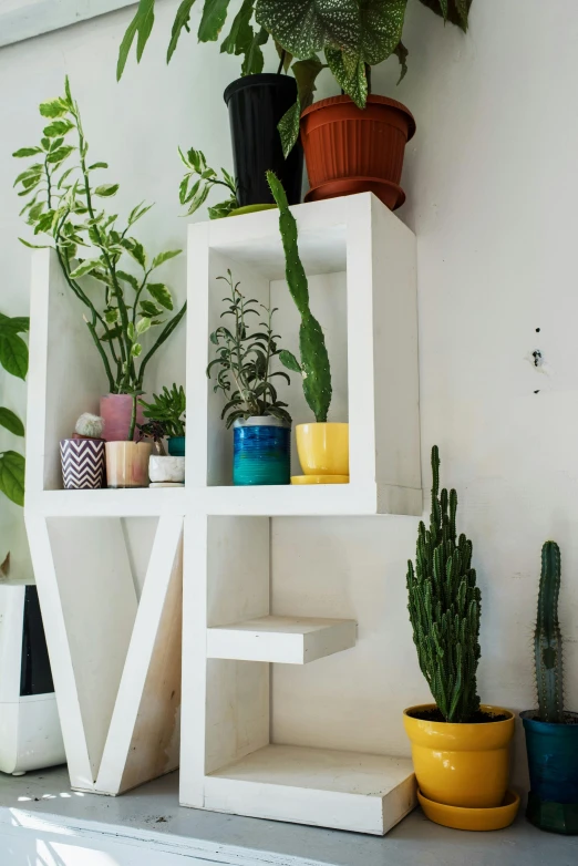 a shelf with potted plants on top of it, unsplash, maximalism, in white lettering, low quality photo, white vase, color image