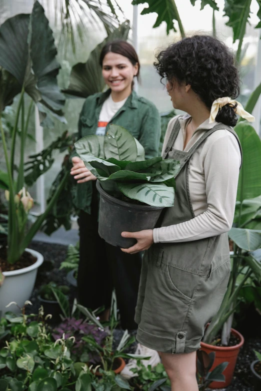 a couple of women standing next to each other in a greenhouse, pexels contest winner, renaissance, magnolia big leaves and stems, grey, customers, planters