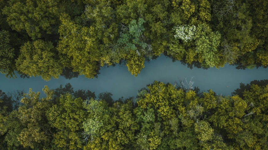 a river running through a lush green forest, an album cover, by Adam Marczyński, pexels contest winner, hurufiyya, birds eye overhead perspective, thumbnail, multiple stories, backwater bayou