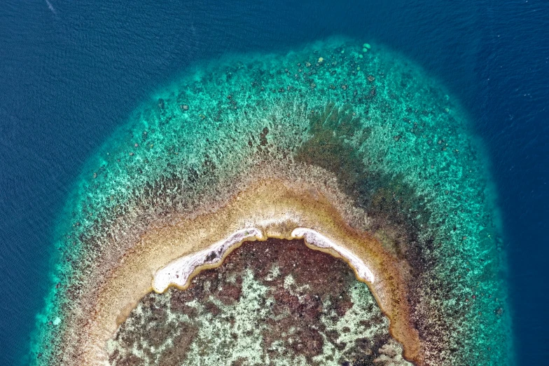 a small island in the middle of the ocean, by Peter Churcher, pexels contest winner, hurufiyya, high angle close up shot, tropical reef, flat, high definition detail