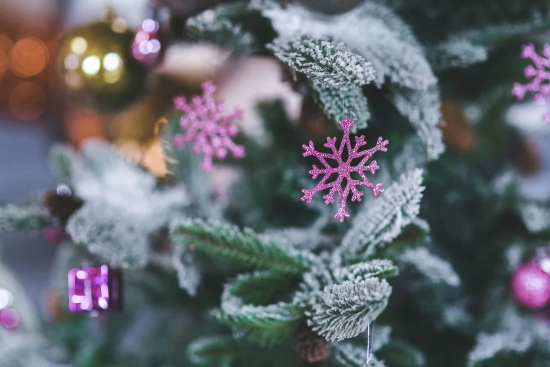 a close up of a christmas tree with snowflakes, inspired by Arthur Burdett Frost, pexels, pink and green, props containing trees, purple flower trees, festive atmosphere