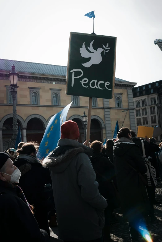 a group of people standing in front of a building, peace atmopshere, placards, thumbnail, european