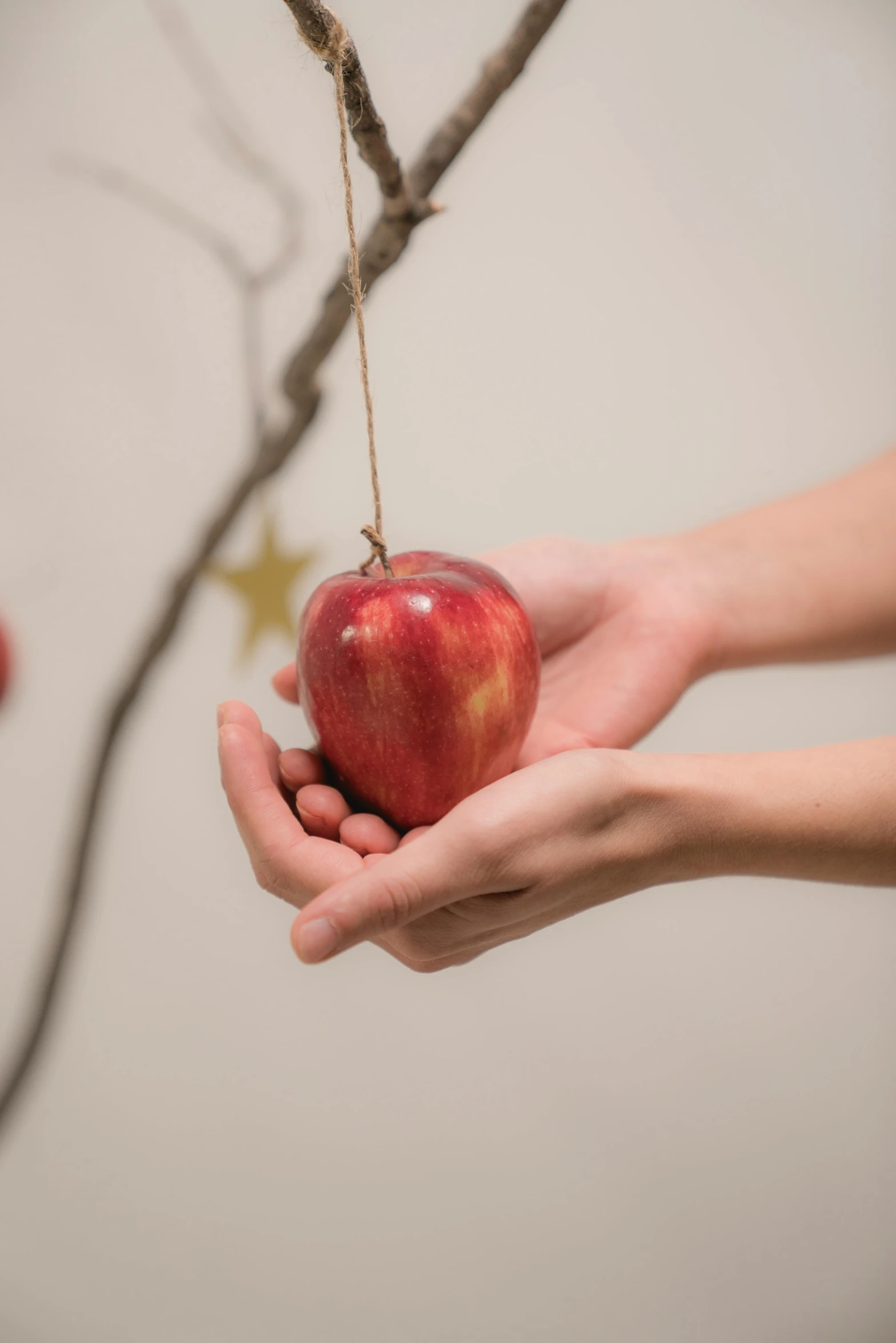 a person holding an apple in their hand, pexels, magic realism, organic ornaments, holiday season, 2 5 6 x 2 5 6 pixels, hanging