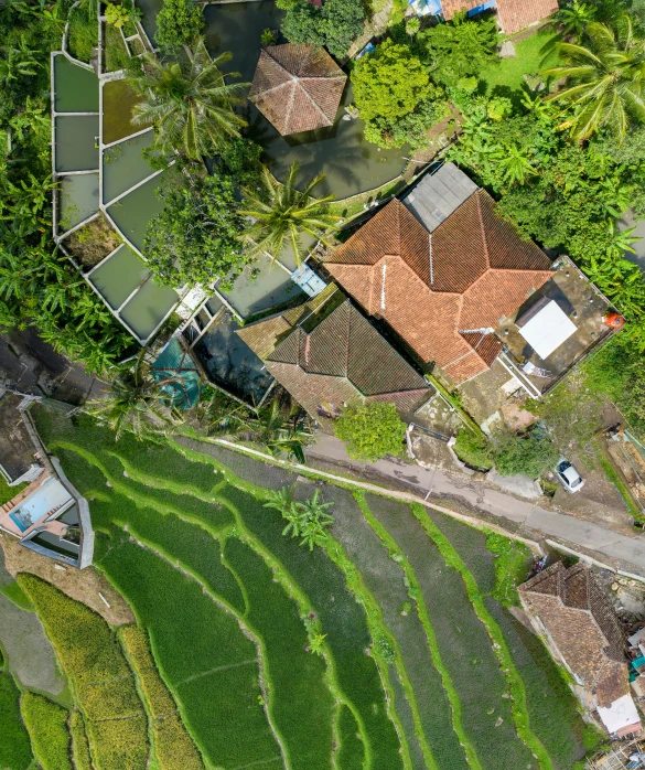 a group of houses sitting on top of a lush green hillside, by Daniel Lieske, pexels contest winner, satellite imagery, rice paddies, thumbnail, multiple stories