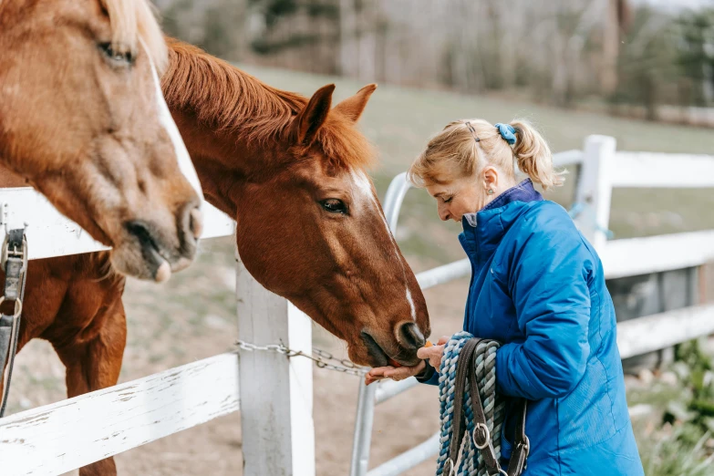 a woman standing next to a brown horse, profile image, local conspirologist, comforting and familiar, unsplash photo contest winner