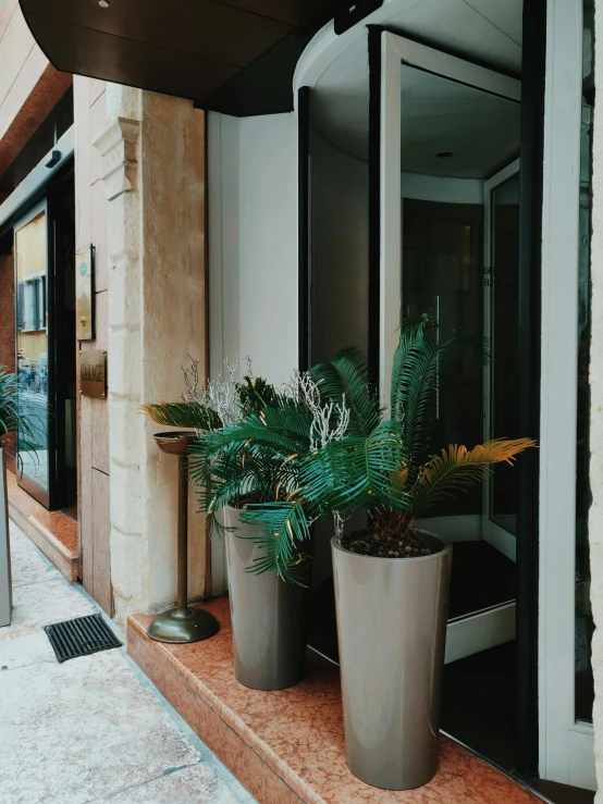 a couple of potted plants sitting on the side of a building, entrance, modern lush condo as shopfront, trending on vsco, traditional corsican