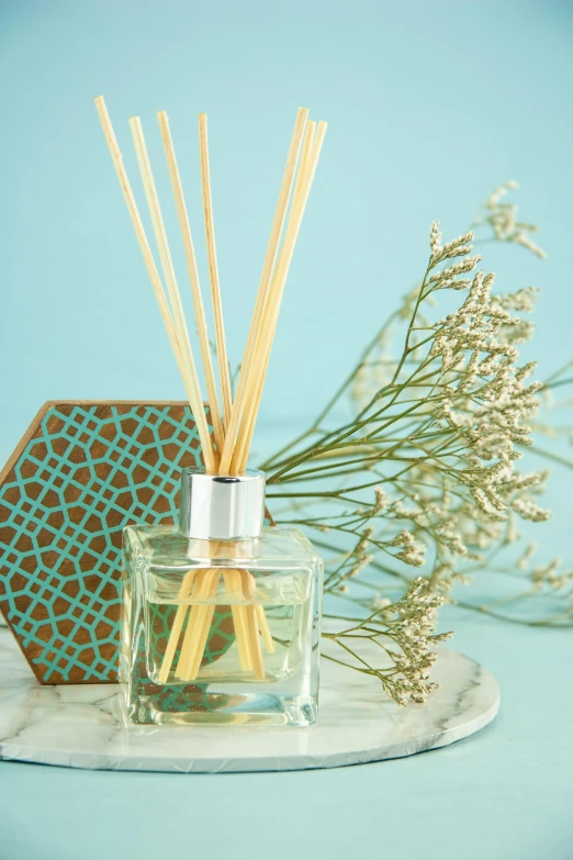 a glass bottle filled with reeds next to a vase filled with flowers, hexagonal shaped, relaxed. blue background, mekka, square
