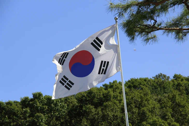 a flag flying in the wind with trees in the background, inspired by Kim Myeong-guk, unsplash, sōsaku hanga, square, 4k 8k, circular, 4k/8k