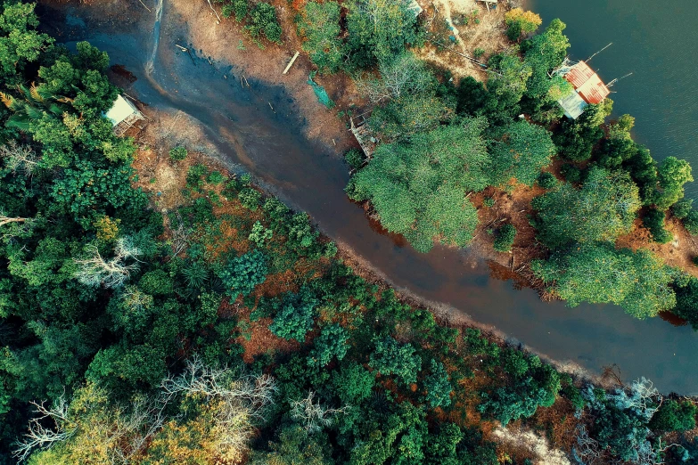 a river running through a lush green forest, a screenshot, unsplash, hurufiyya, oil spills, houses and roads, bioremediation, brown