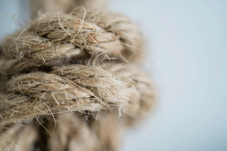 a close up of a knot on a rope, a macro photograph, by Nina Hamnett, unsplash, minimalism, scratching post, detailed product image, on grey background, high detail photo