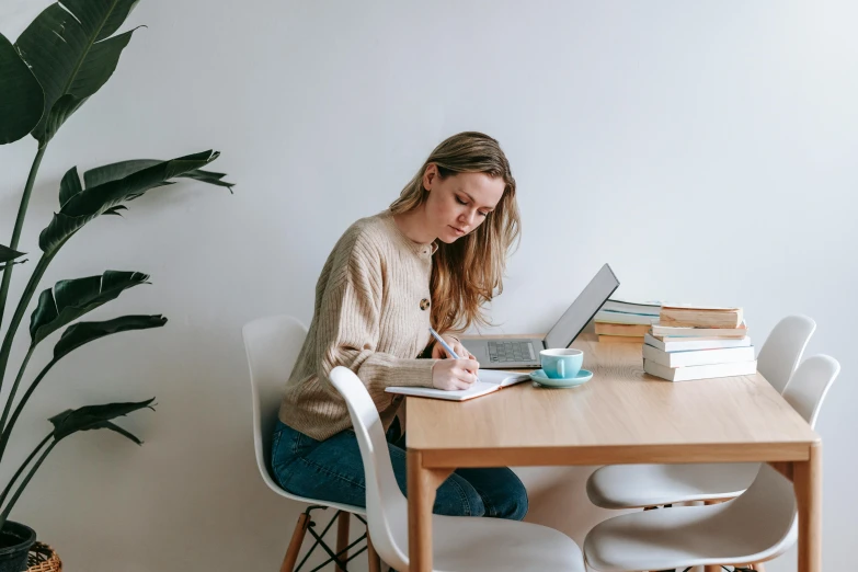 a woman sitting at a table working on a laptop, a drawing, by Nicolette Macnamara, pexels contest winner, wooden desks with books, casually dressed, slightly minimal, ellie victoria gale