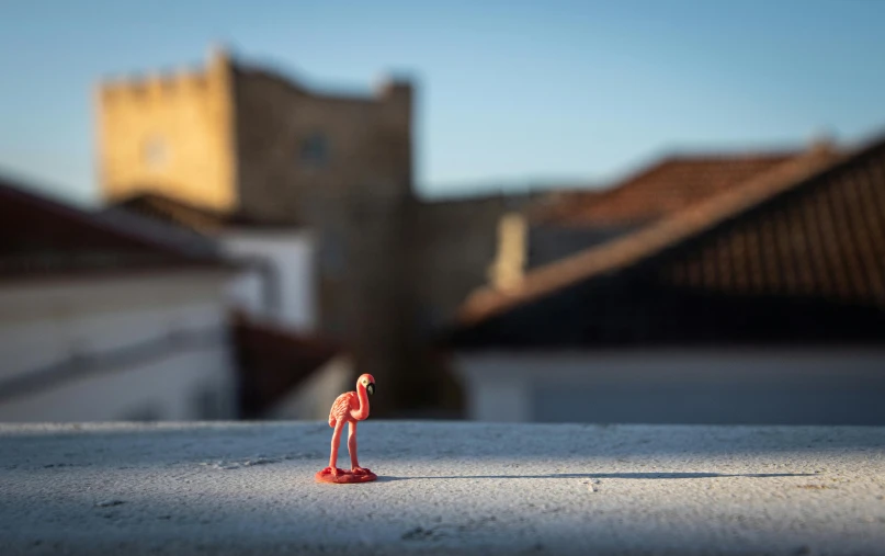 a close up of a toy figure on a ledge, a tilt shift photo, by Daniel Gelon, unsplash contest winner, street art, flamingo, high resolution print :1 red, on rooftop, tiny nose