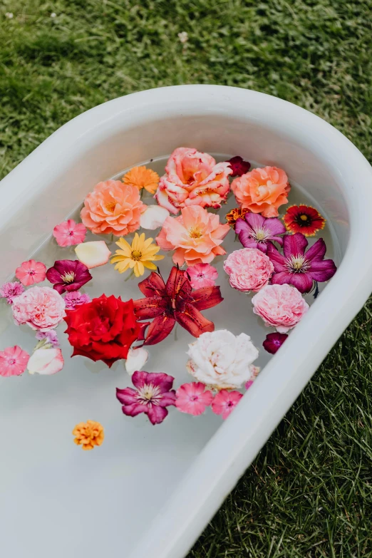 a bath tub filled with flowers sitting on top of a lush green field, flatlay, hibiscus flowers, vessels, pink orange flowers