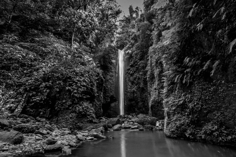 a black and white photo of a waterfall, a black and white photo, by Andrew Bell, pexels contest winner, sumatraism, tall thin, garden of eden, brown, illuminated