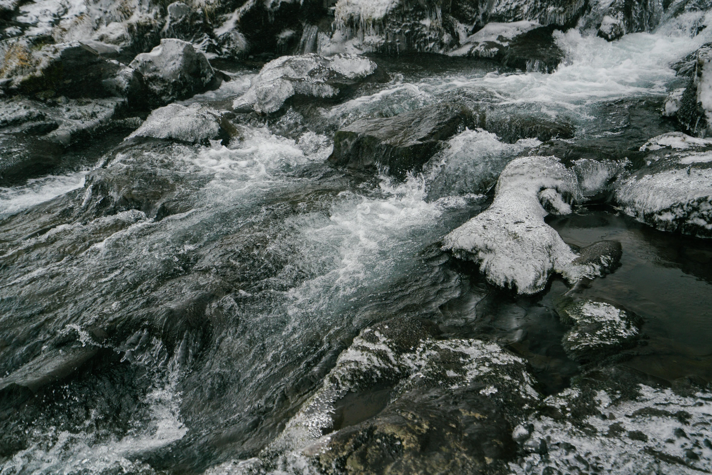 a stream running through a forest covered in snow, an album cover, pexels contest winner, hurufiyya, with lots of dark grey rocks, white water rapids, unsplash 4k, swirling schools of silver fish